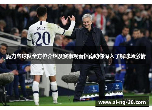魔力鸟球队全方位介绍及赛事观看指南助你深入了解球场激情 魔力鸟球队全方位介绍及赛事观看指南助你深入了解球场激情