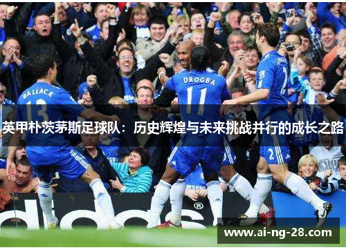 英甲朴茨茅斯足球队:历史辉煌与未来挑战并行的成长之路 英甲朴茨茅斯足球队:历史辉煌与未来挑战并行的成长之路
